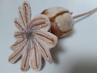 Papaverbol