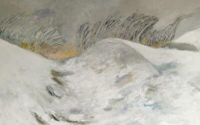 Expo 6 december – 31 december 2025