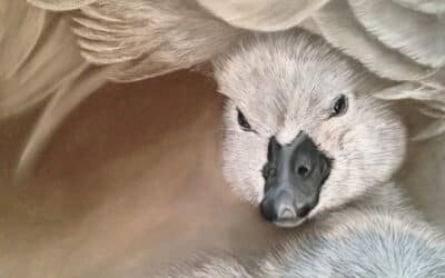 Expo 7 maart – 1 april 2026