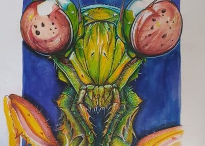 Ed Jansen, Bidsprinkhaan, ecoline